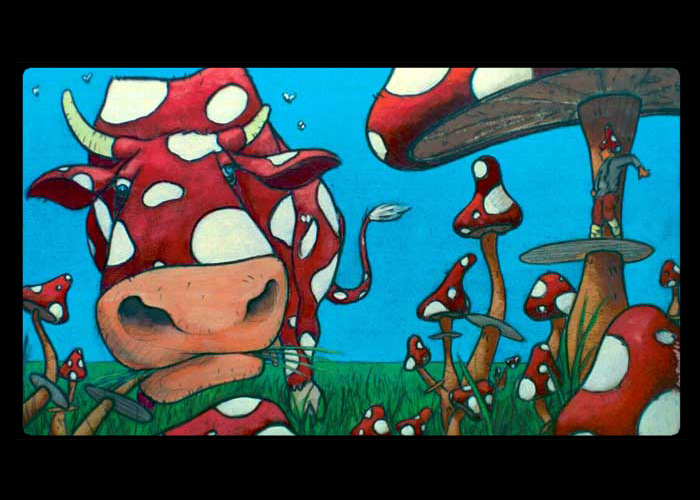 Illustrations — Mosak Photographie 9